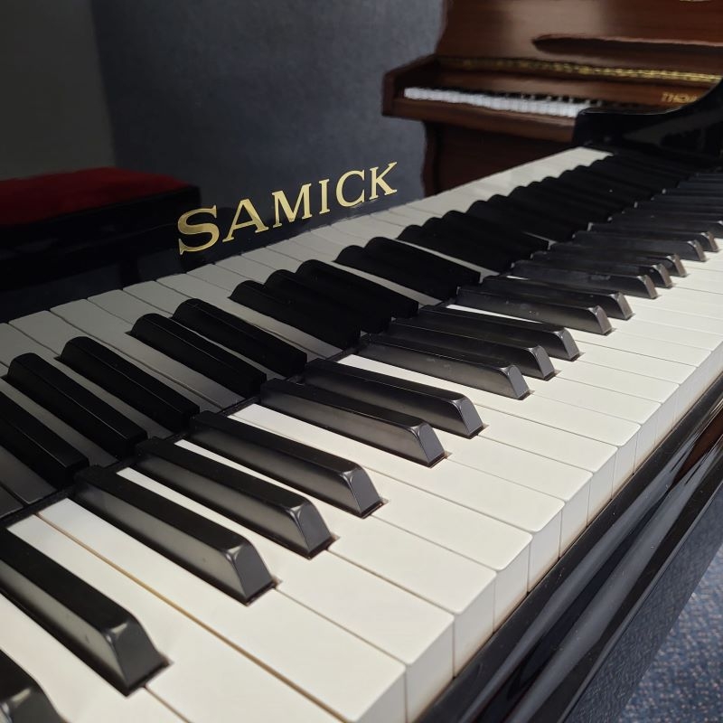 Samick SG140