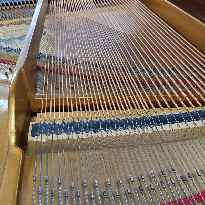 Samick SG140