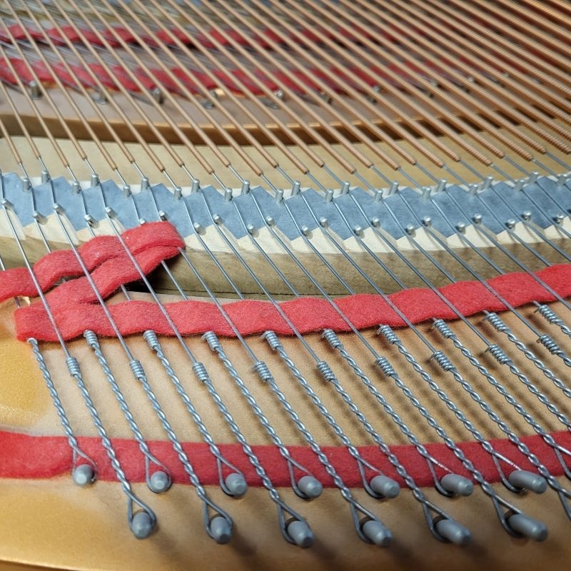 Yamaha C1