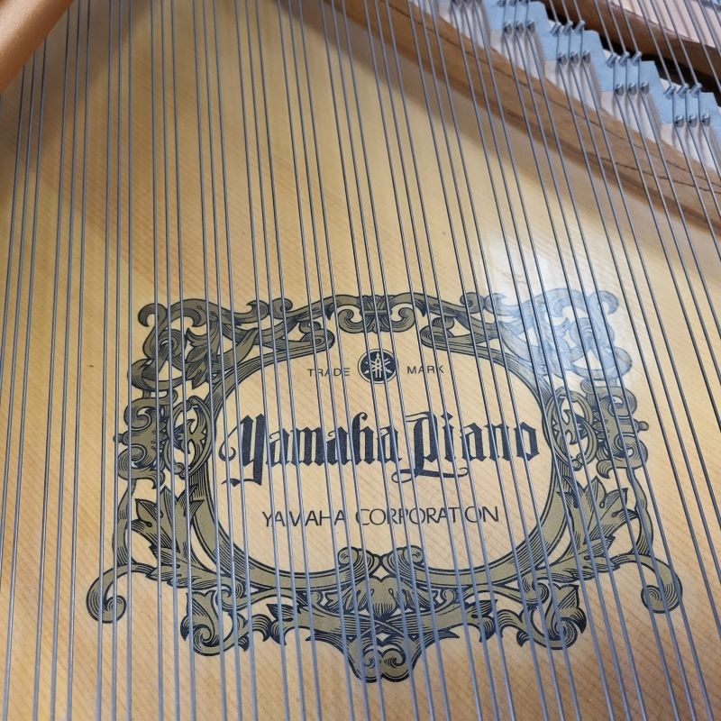 Yamaha C1