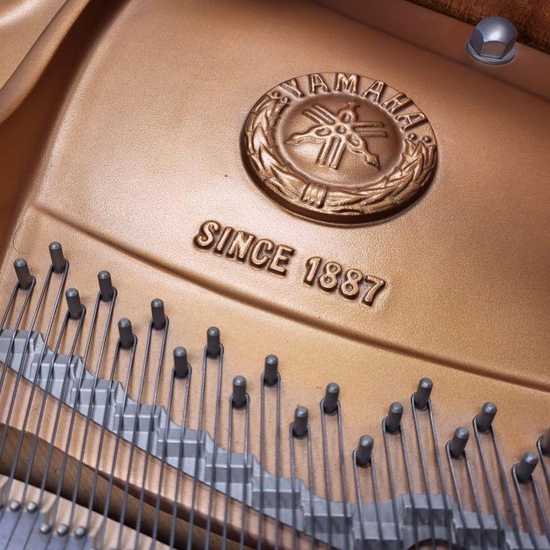 Yamaha C1 grand Piano in bright black – Gallery image – Roberts Pianos Oxford