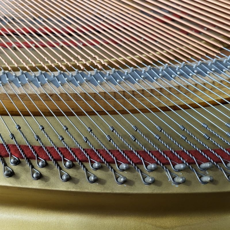 Yamaha G2