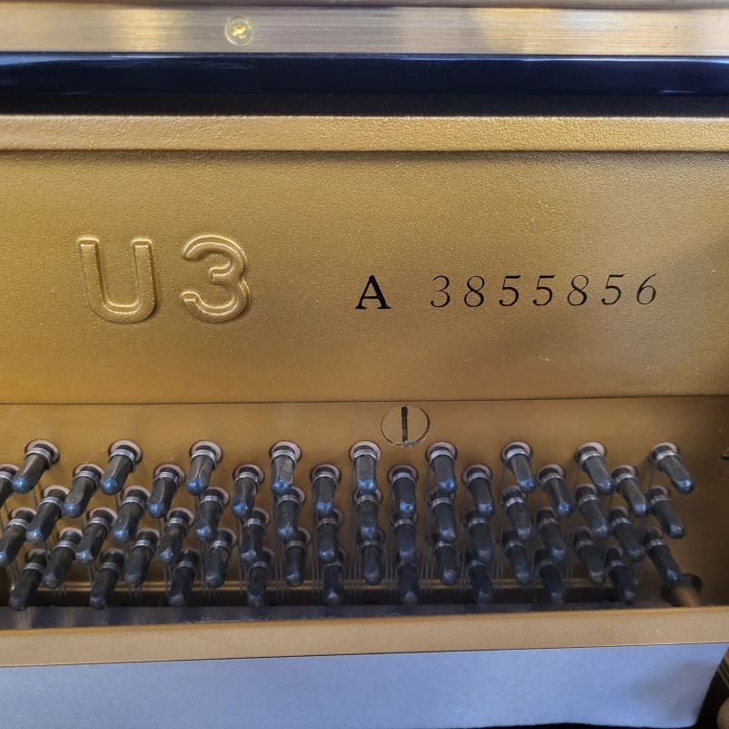 Yamaha U3M