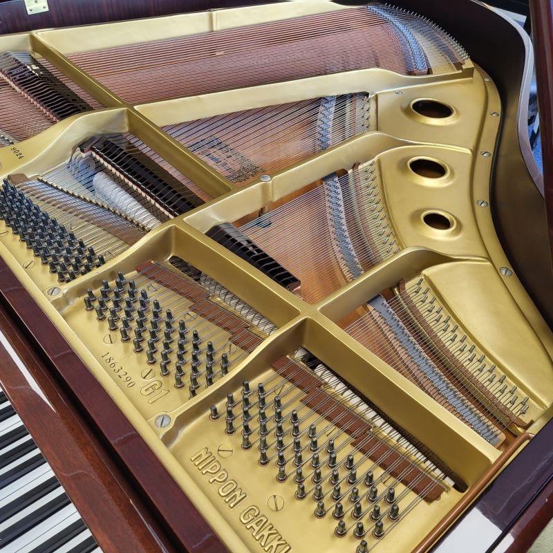 Yamaha G1