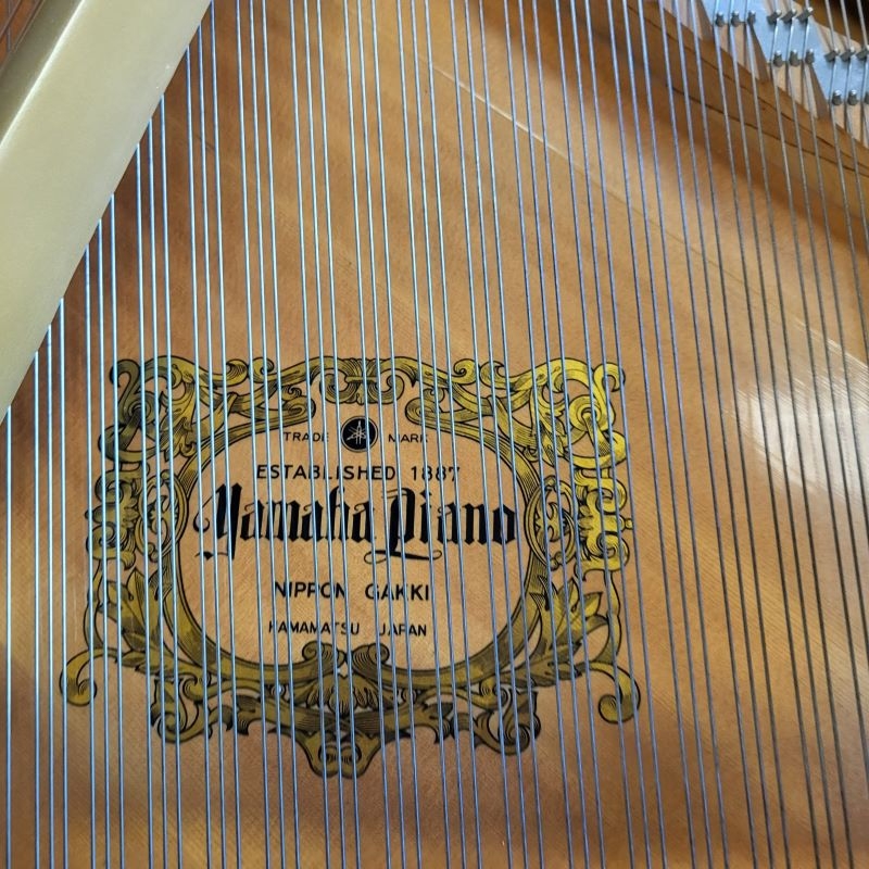 Yamaha G1