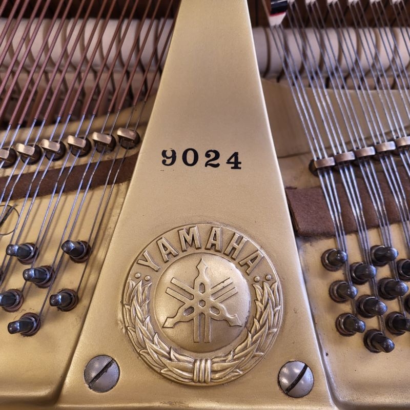 Yamaha G1
