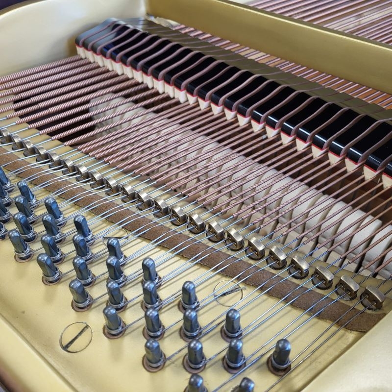 Yamaha G1