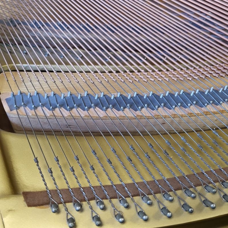 Yamaha G1