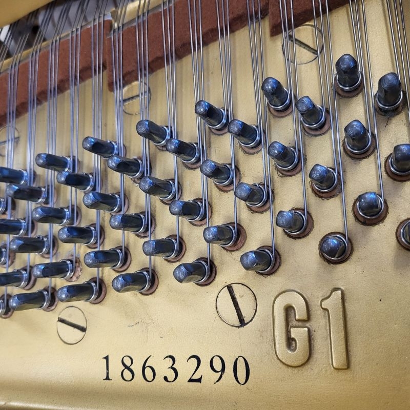 Yamaha G1