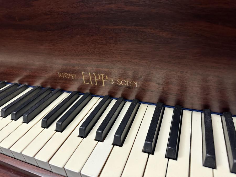 Richard Lipp 175 grand Piano in rosewood – Gallery image – Roberts Pianos Oxford