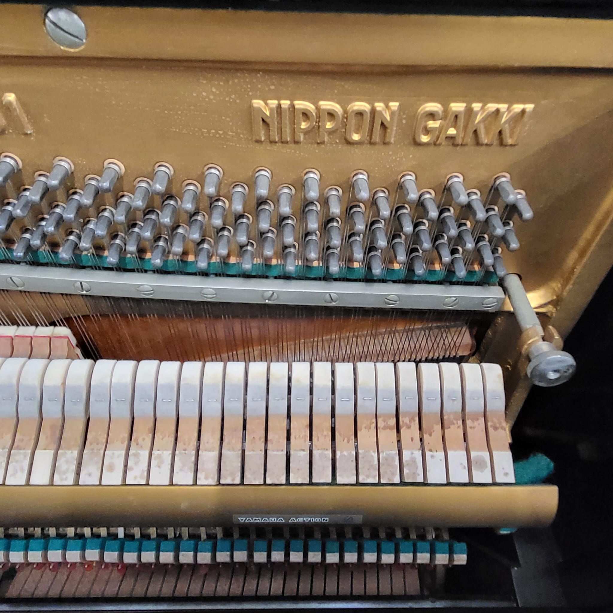 Yamaha U1D