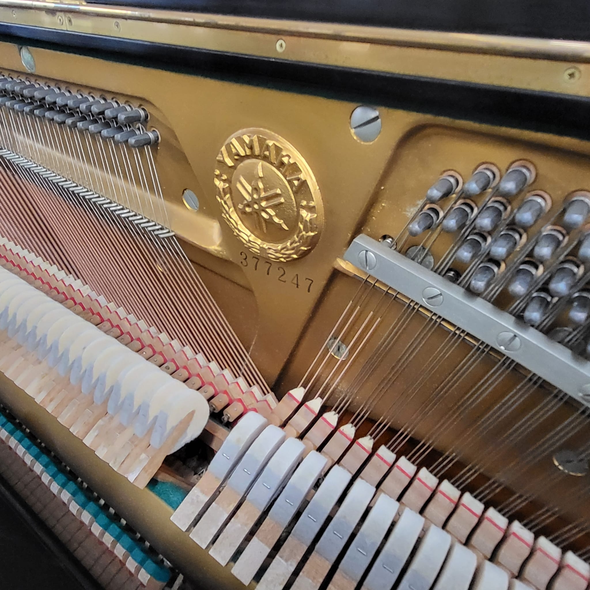 Yamaha U1D