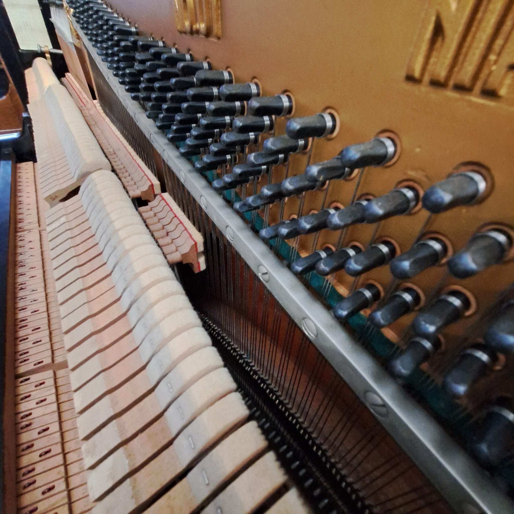 Yamaha U1D