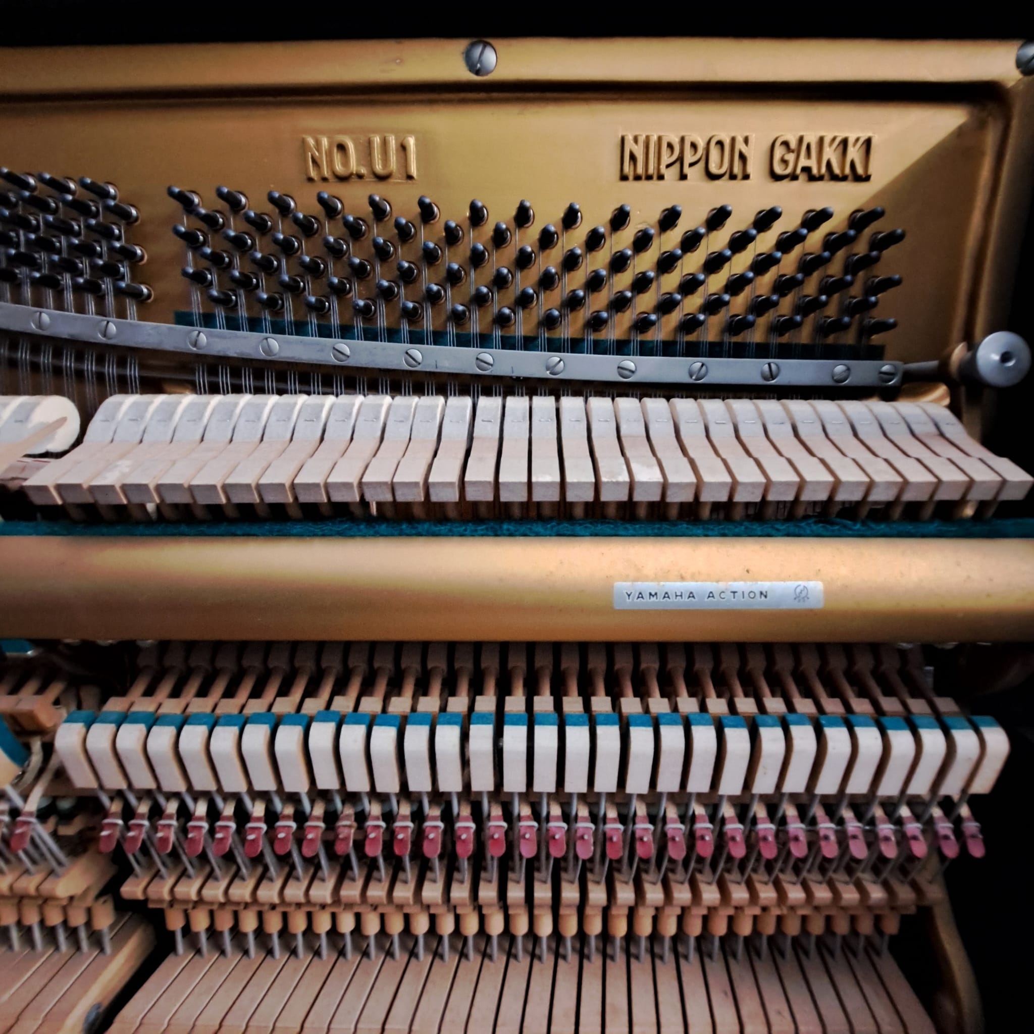 Yamaha U1D