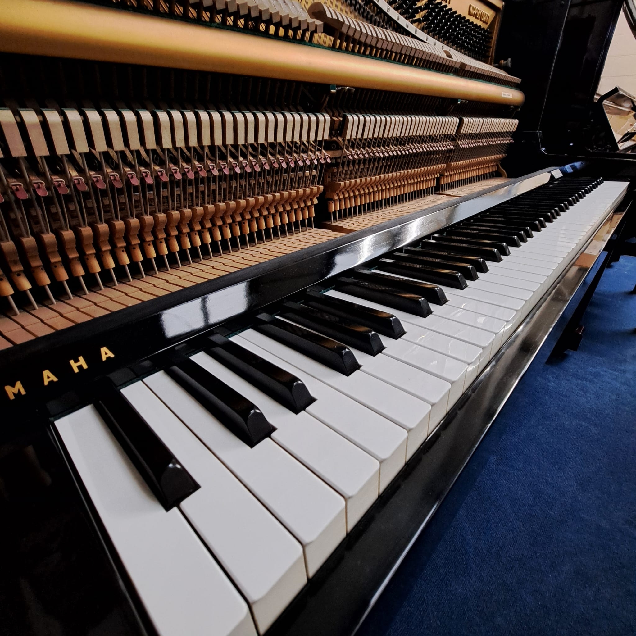Yamaha U1D