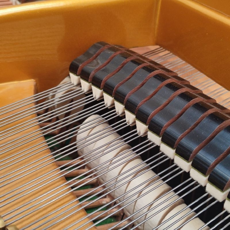 Bechstein V