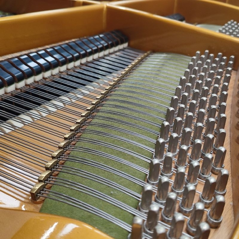 Bechstein V