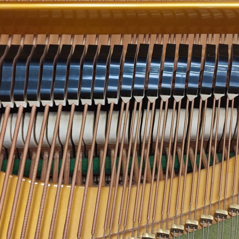 Bechstein V