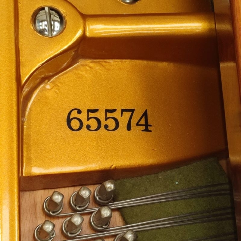 Bechstein V