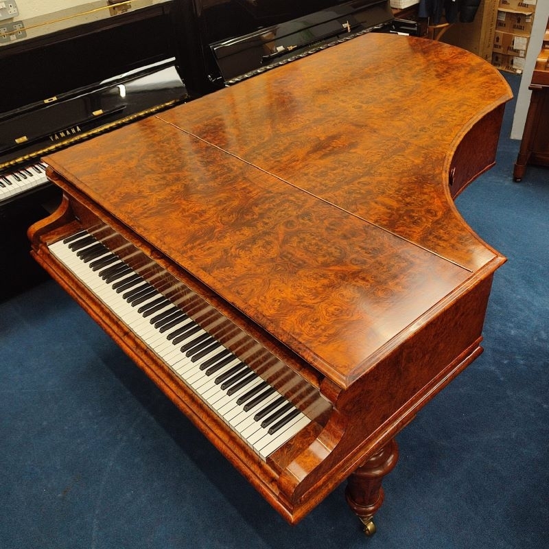 Bechstein V