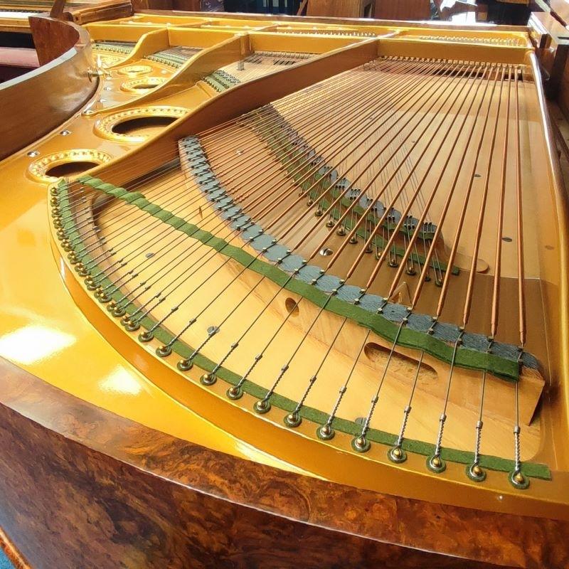 Bechstein V grand Piano in burr walnut – Gallery image – Roberts Pianos Oxford