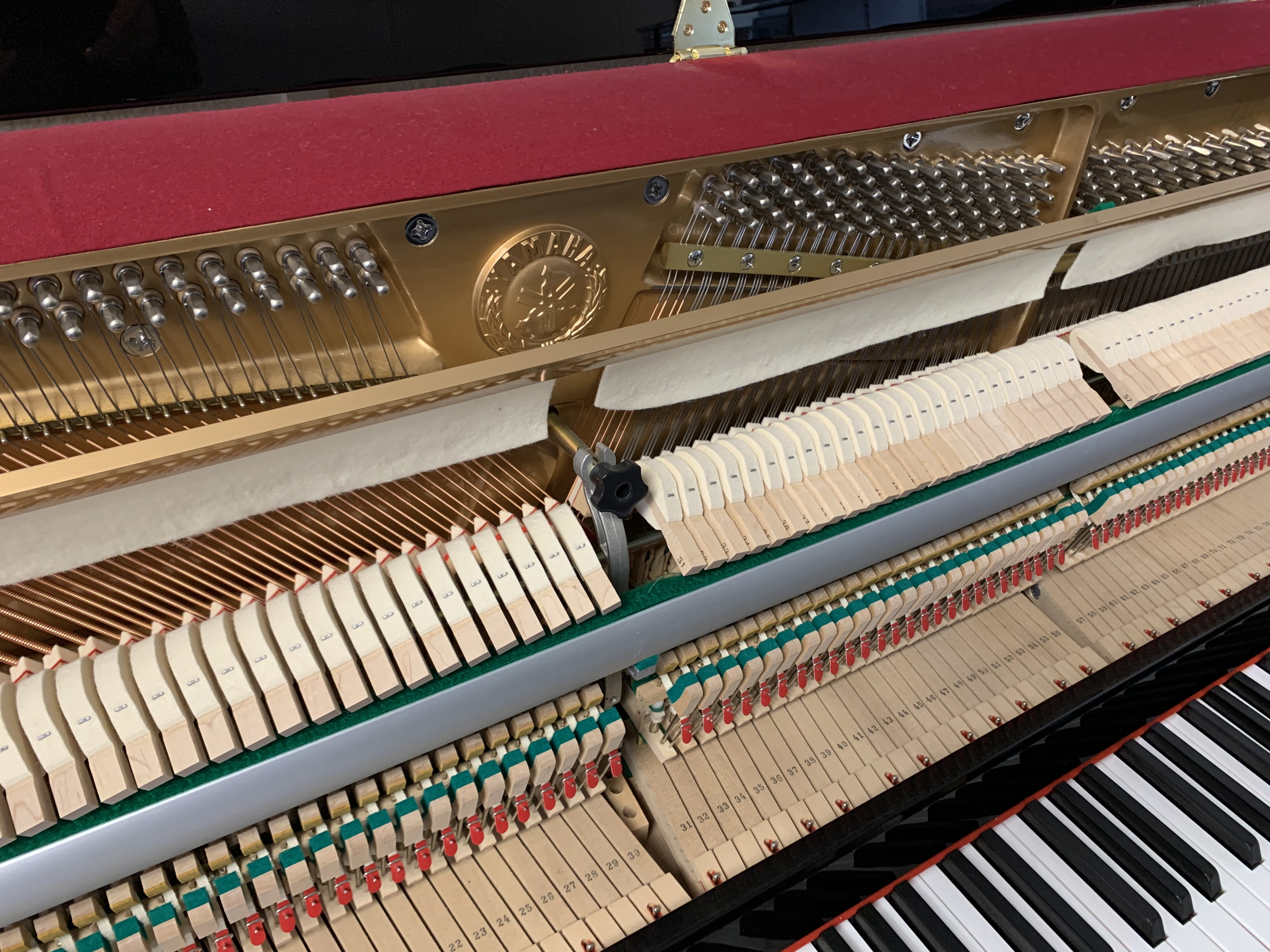 Yamaha C110A