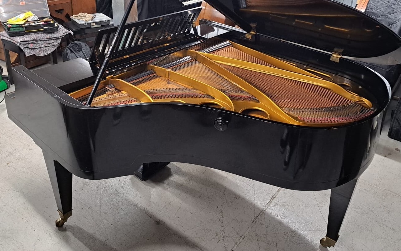 Bosendorfer 170