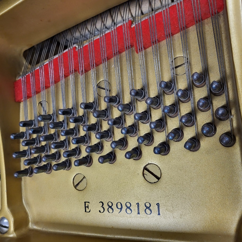 Yamaha G3E