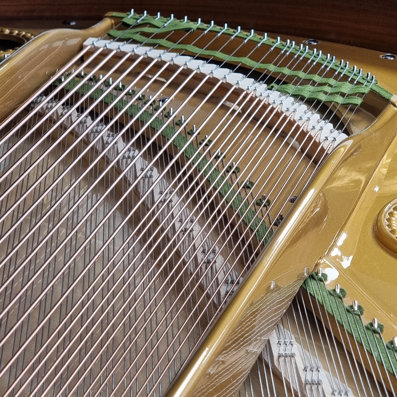 Bechstein III
