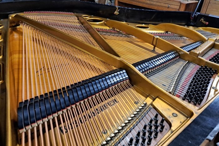 Bosendorfer 170