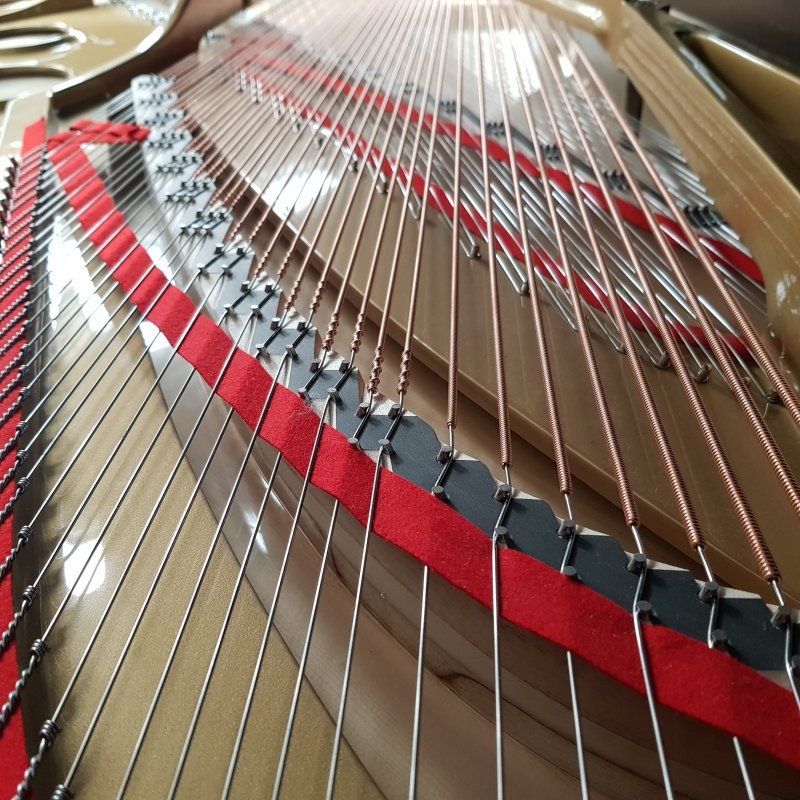 Yamaha CF concert