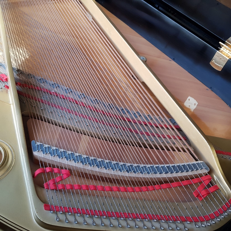 Yamaha C3