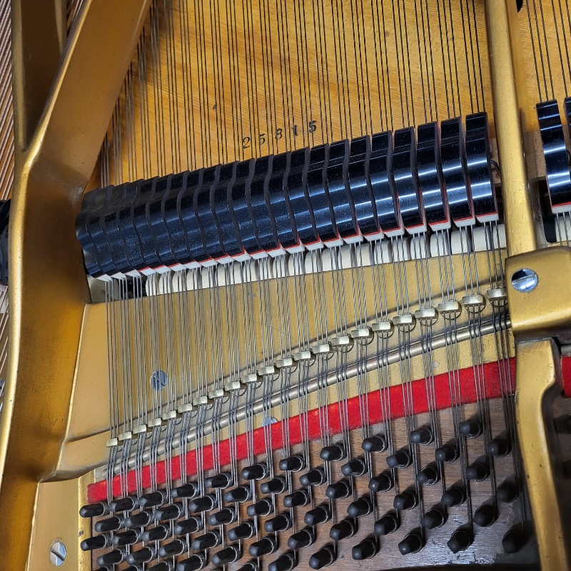 Bosendorfer 170