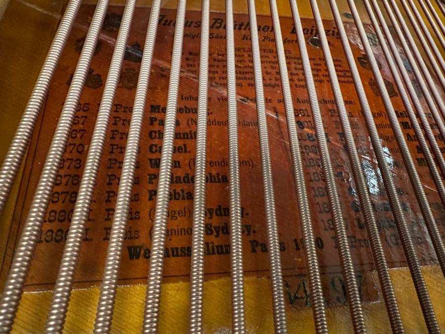 Bluthner VIII grand Piano in rosewood – Gallery image – Roberts Pianos Oxford