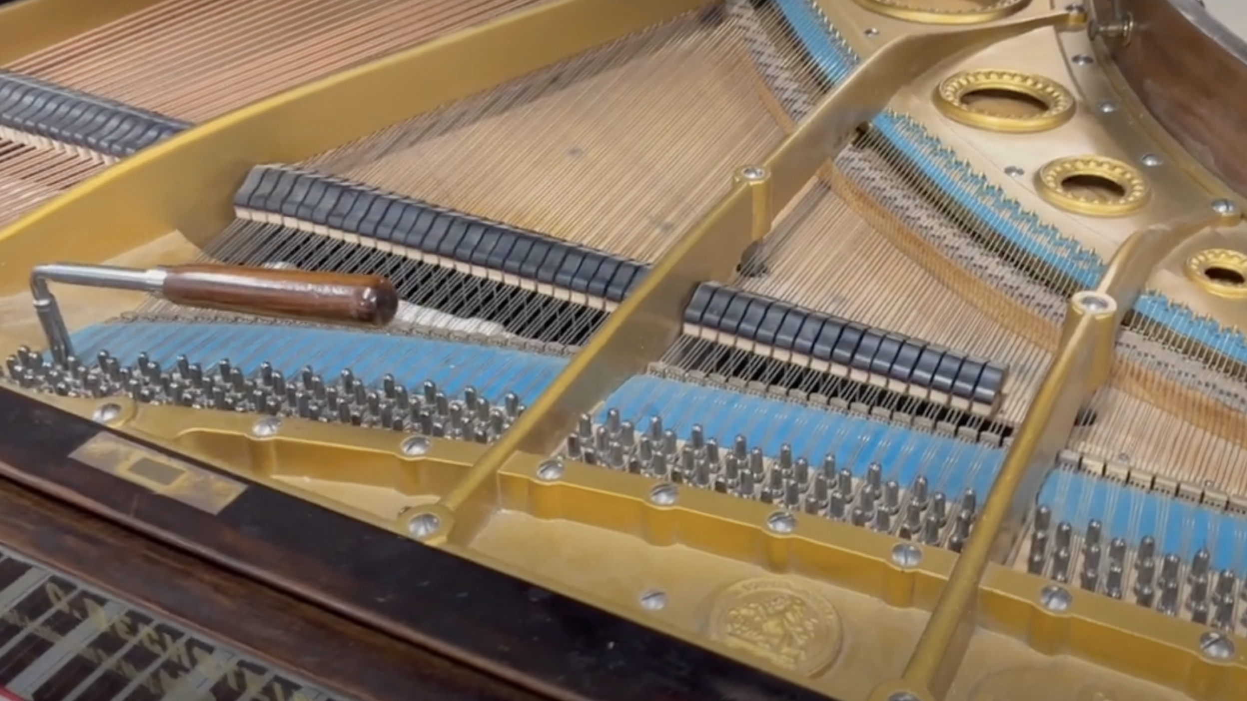 Bechstein V