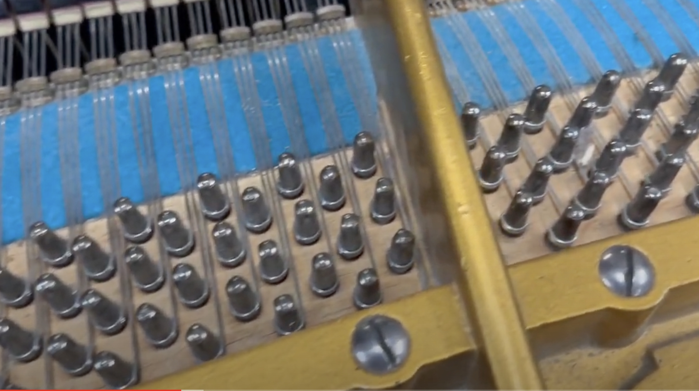 Bechstein V