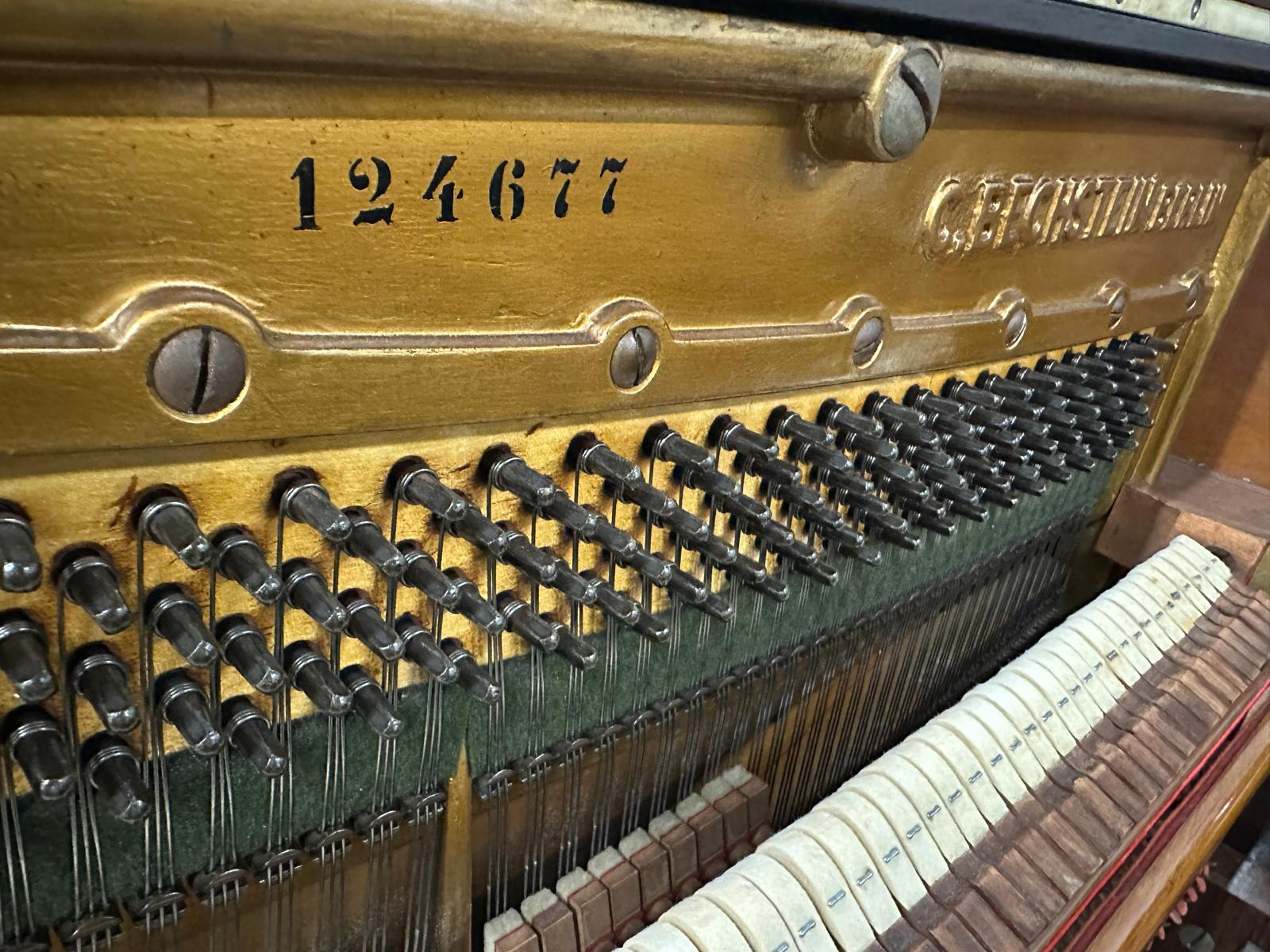 Bechstein 8