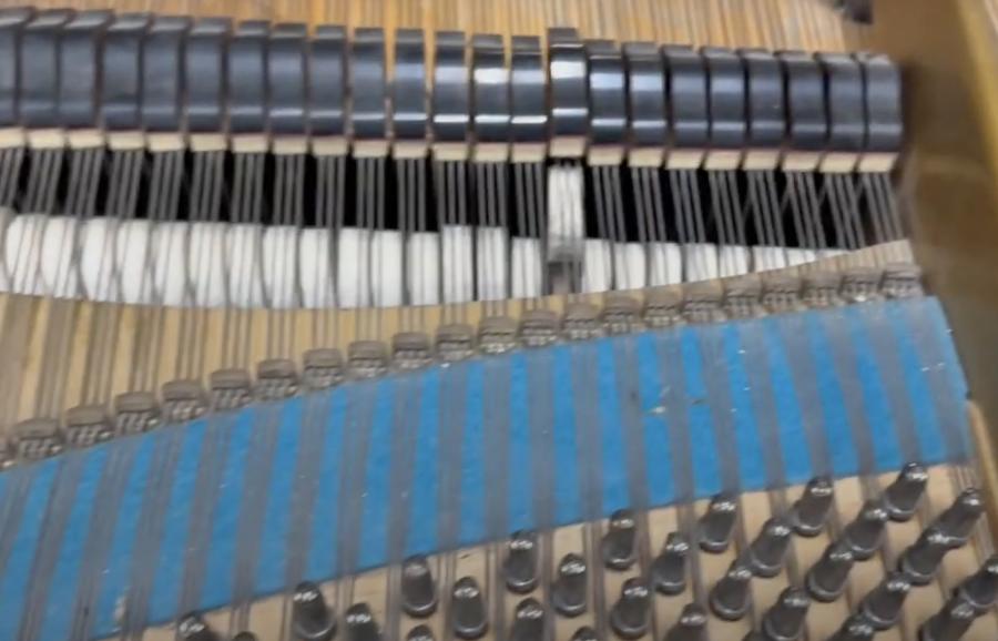 Bechstein V grand Piano in rosewood – Gallery image – Roberts Pianos Oxford