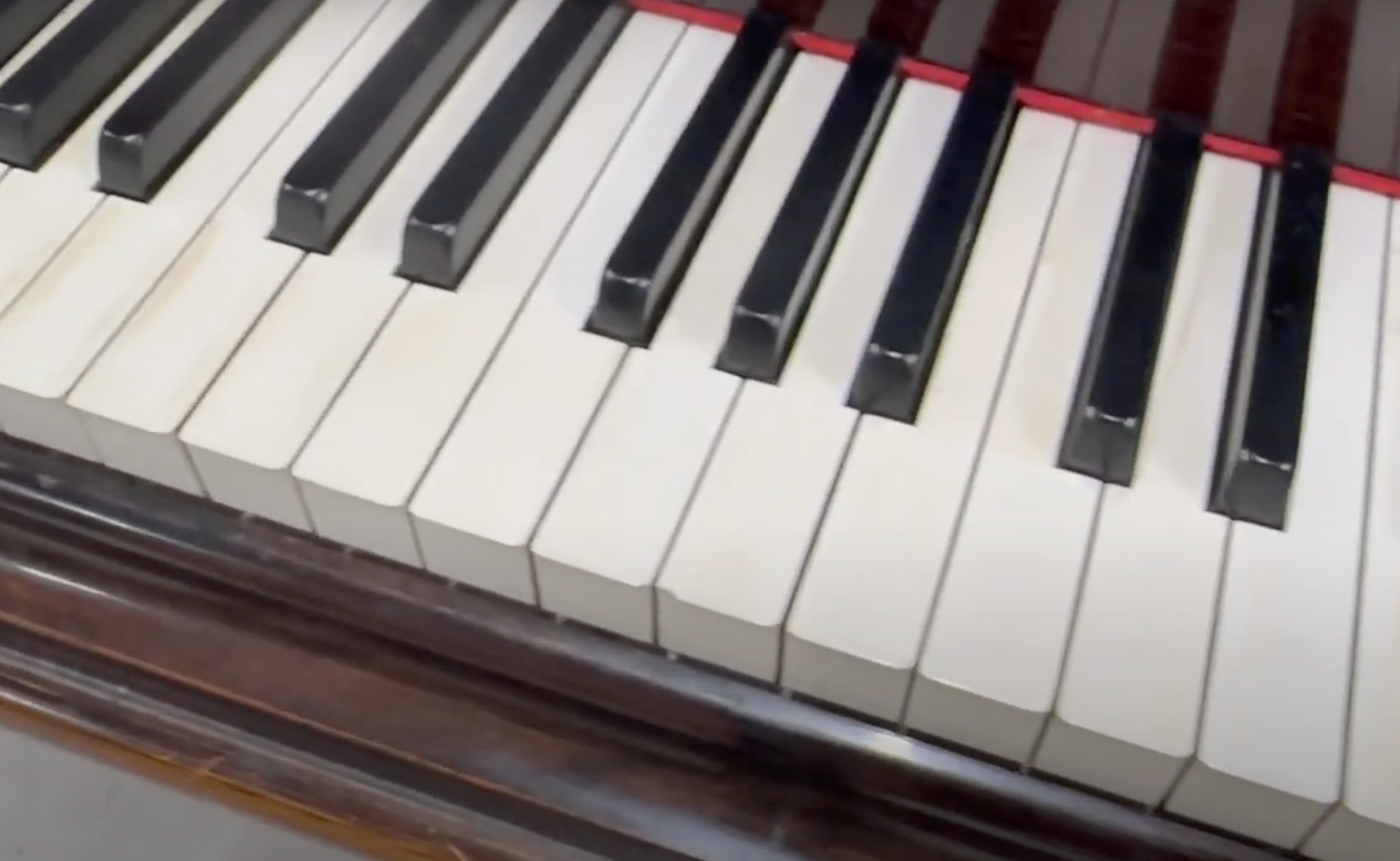 Bechstein V