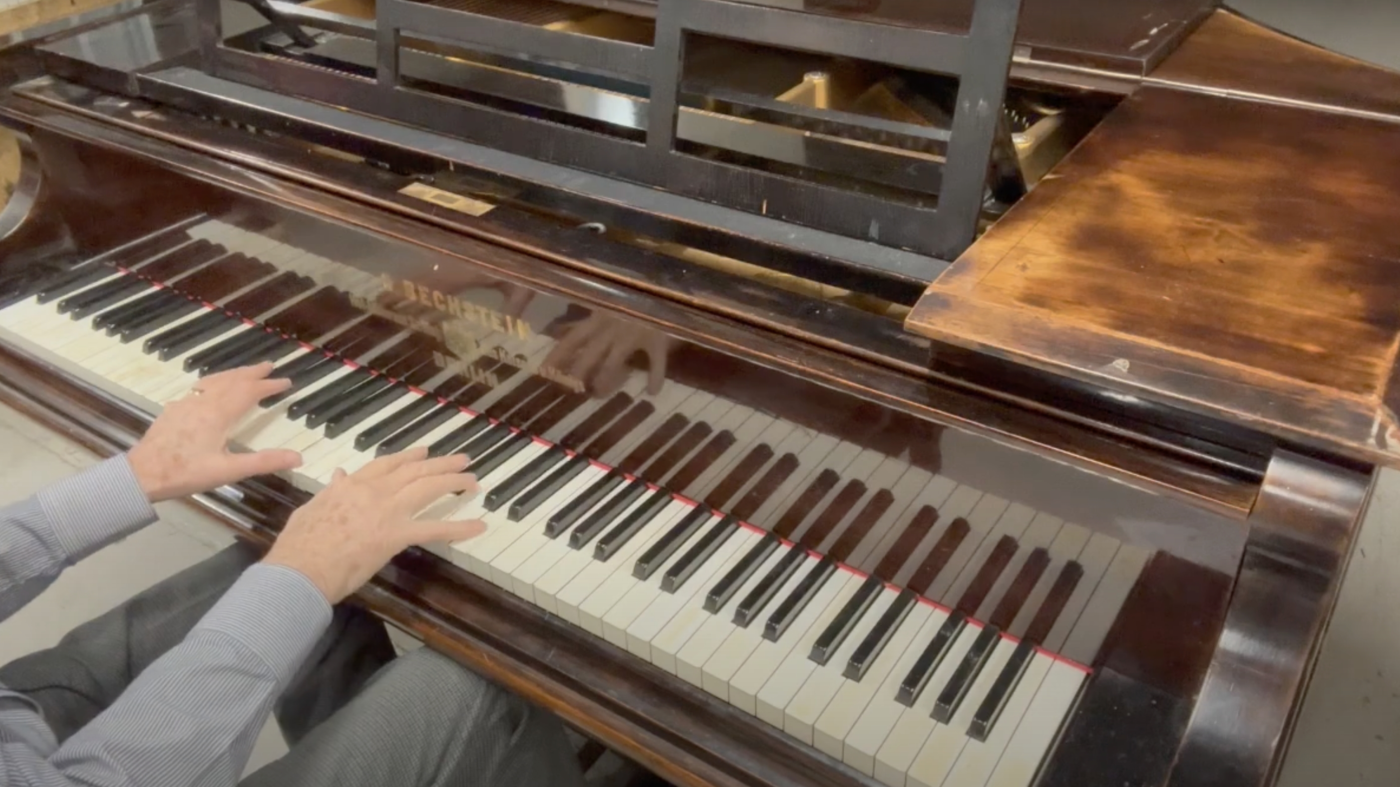 Bechstein V