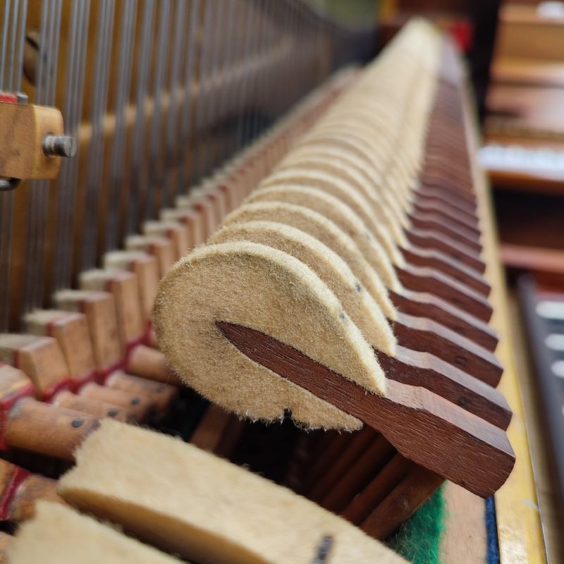 Bechstein 7