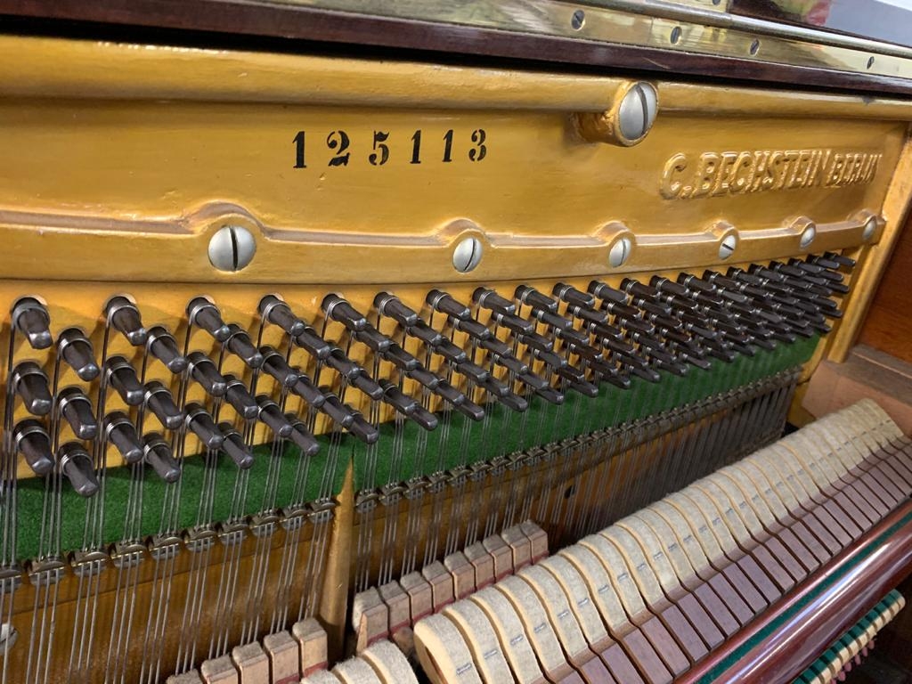 Bechstein 8