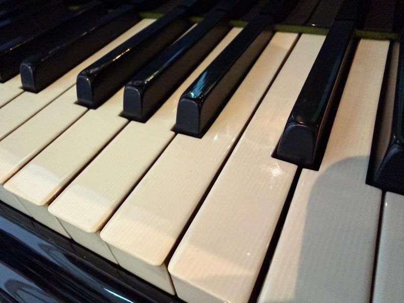 Bechstein III