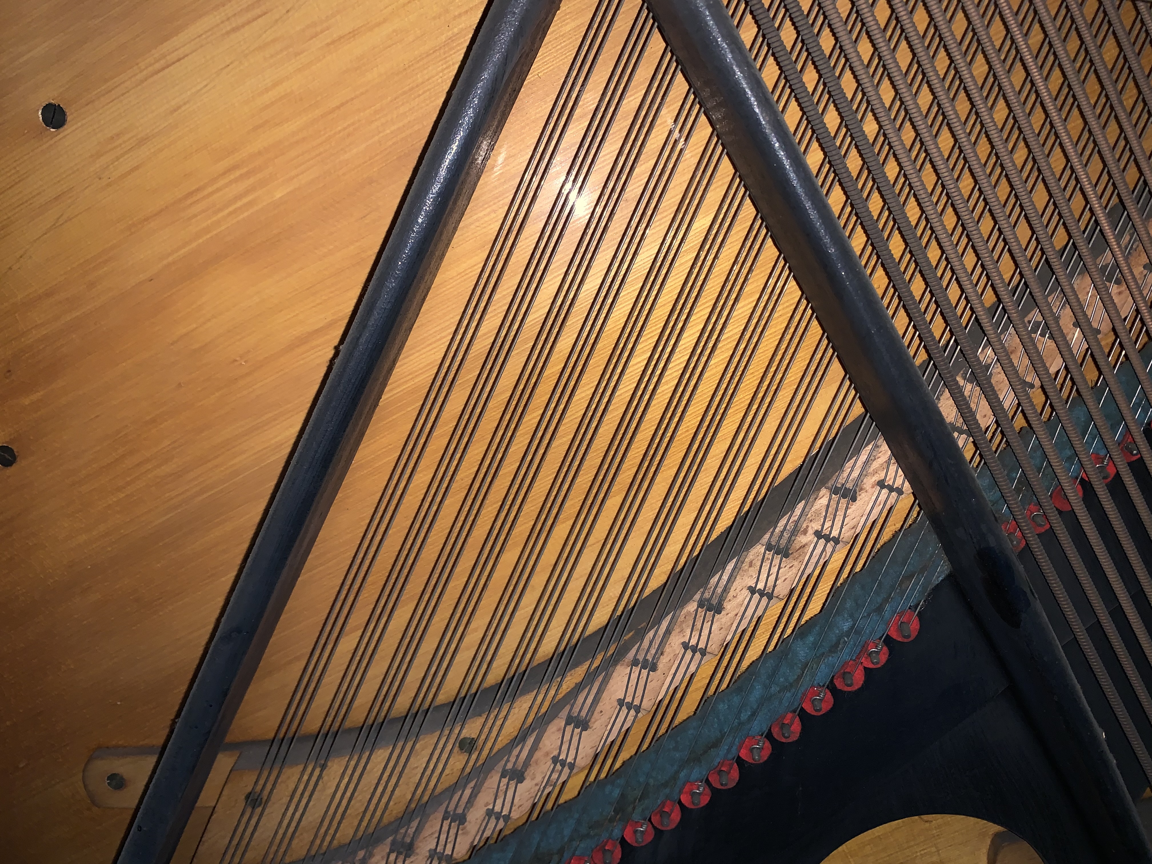 Bechstein 8