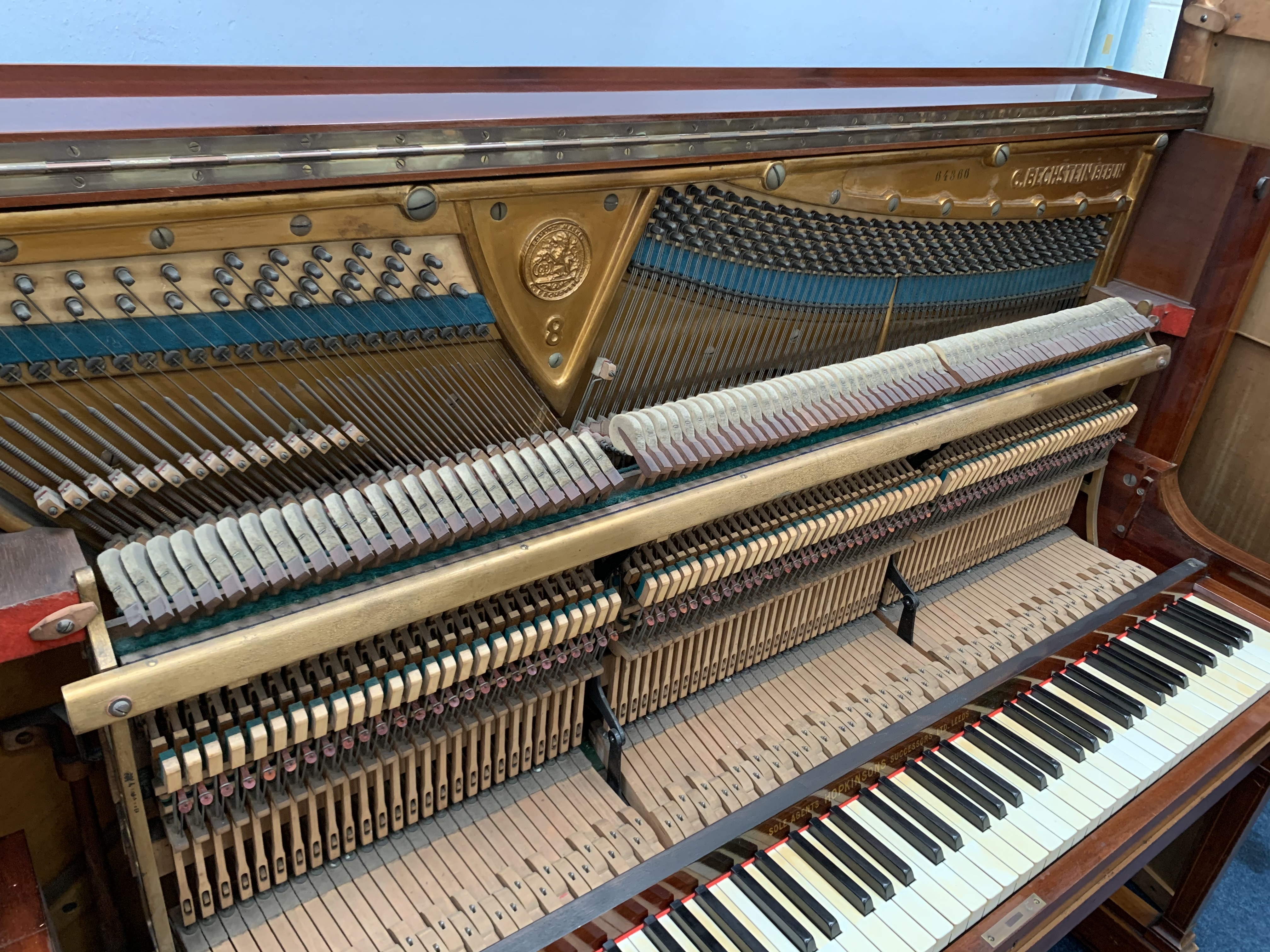 Bechstein 8