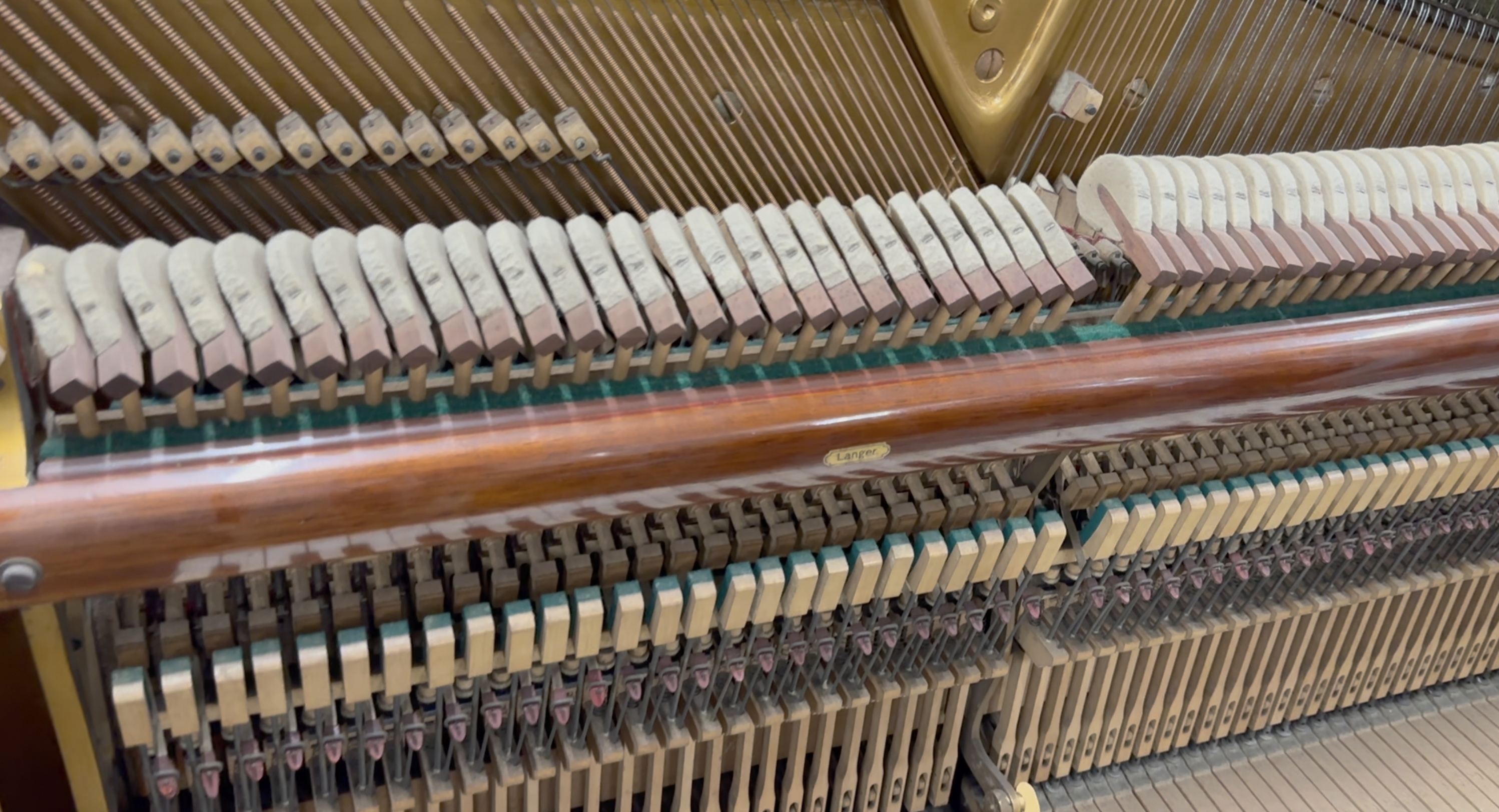 Bechstein 8