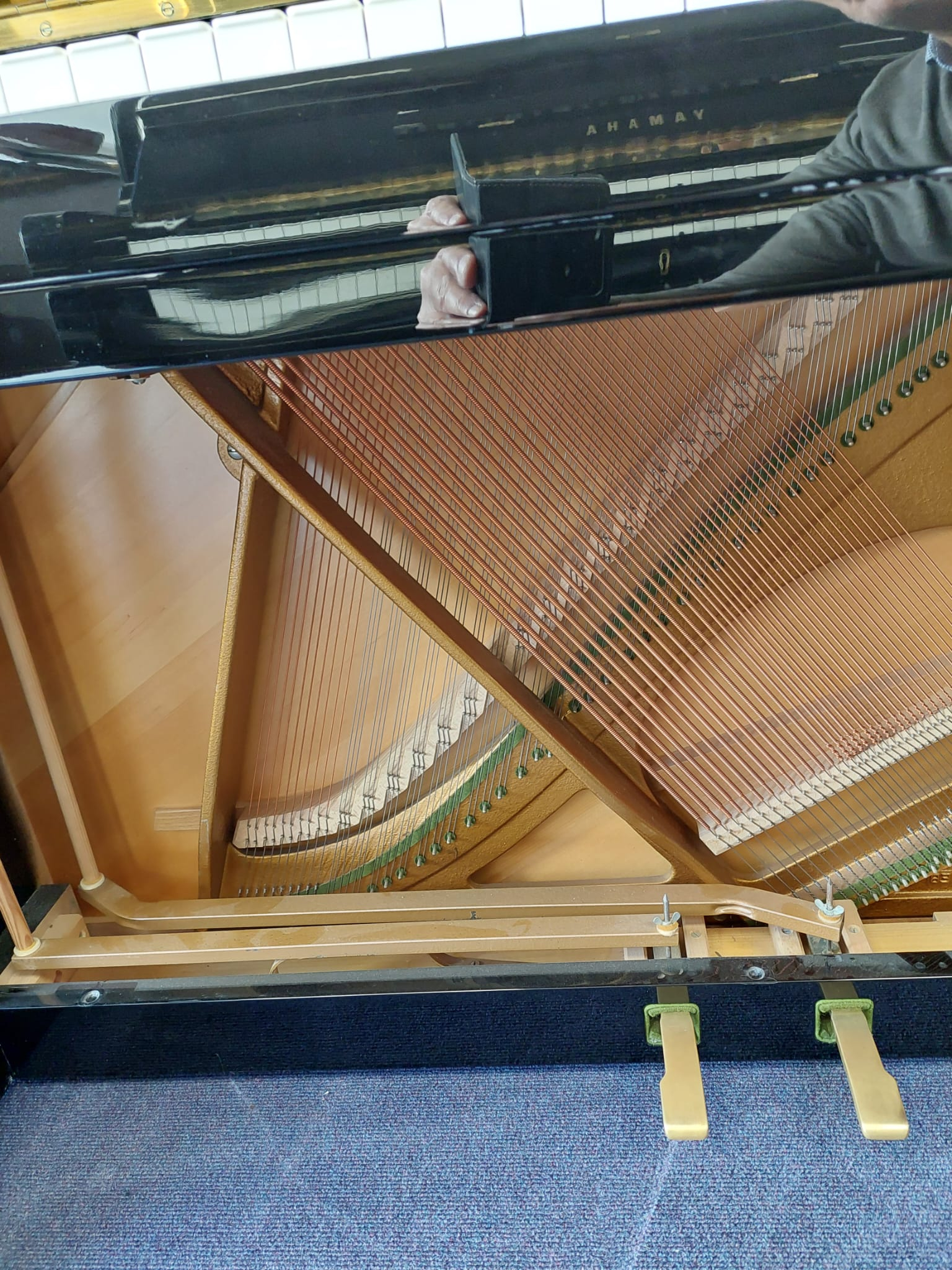 Bechstein Studio 115