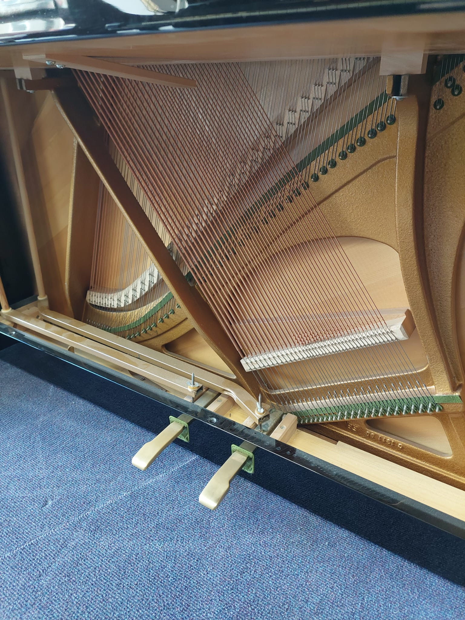 Bechstein Studio 115