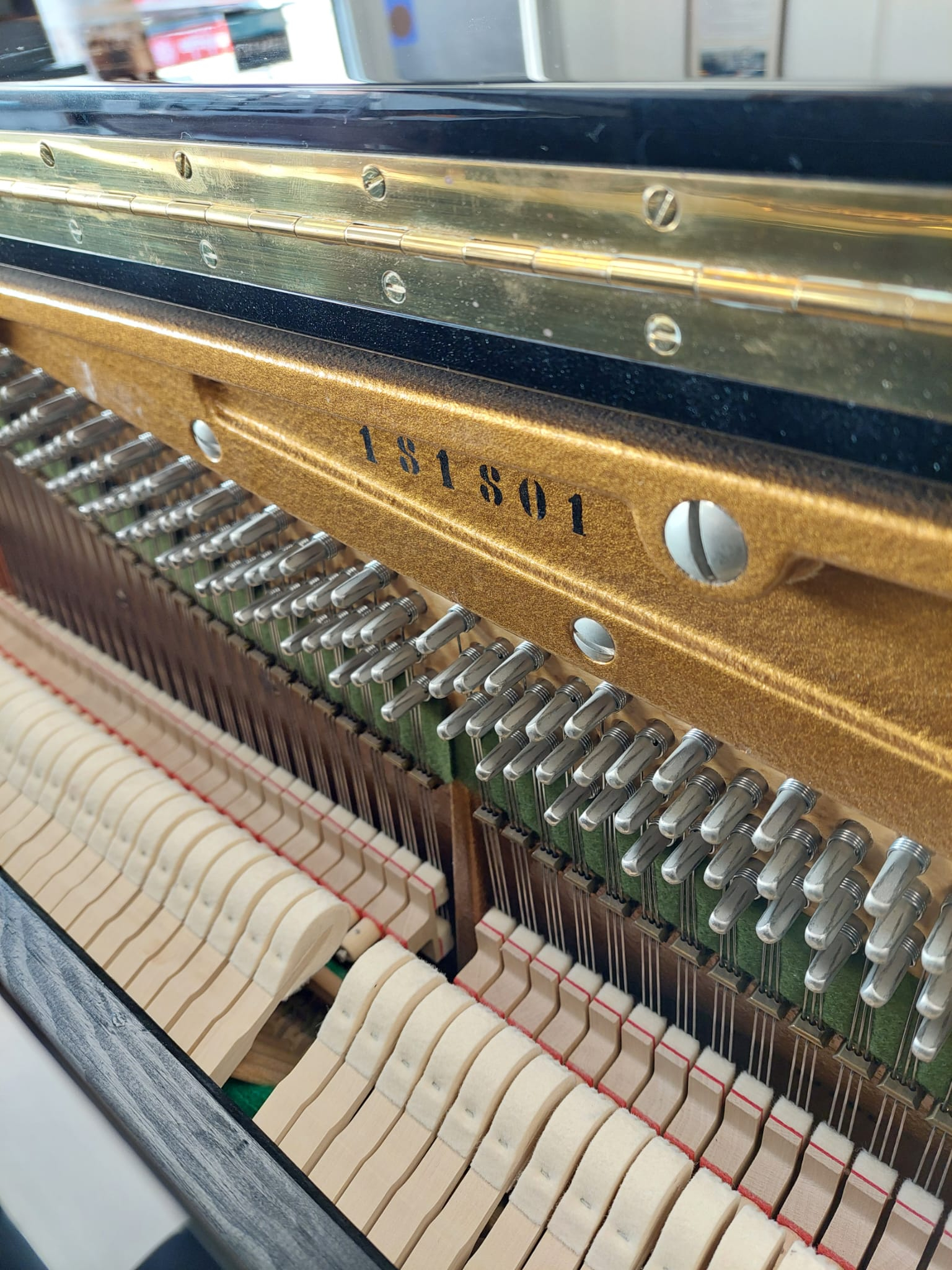 Bechstein Studio 115