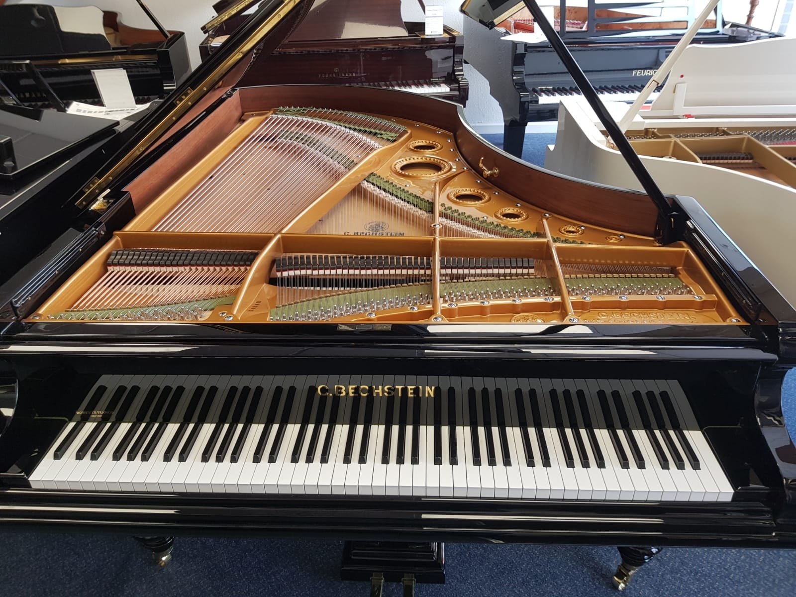 Bechstein model V